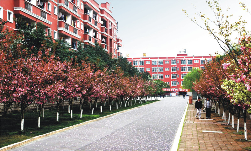 樱花大道(绵竹校区)
